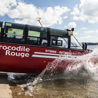 Amphibus Red Crocodile