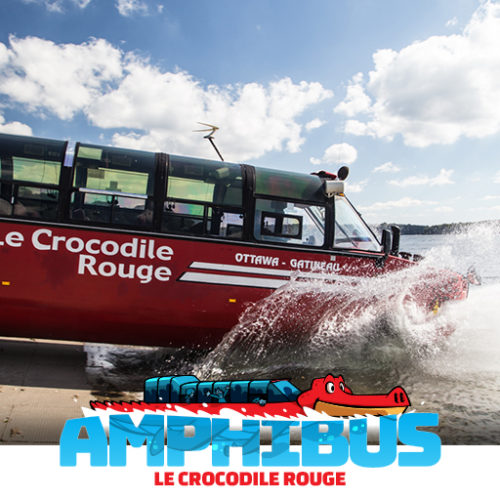 Amphibus_Thumb