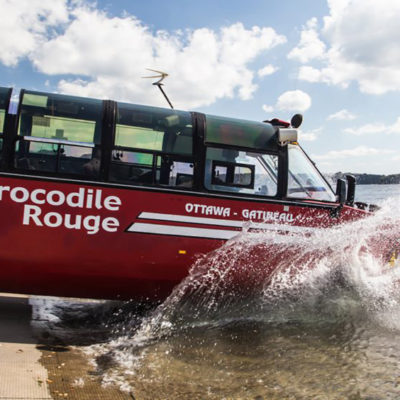 Plongeon du Crocodile Rouge